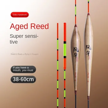 Reed Halászati Úszó Magas Érzékenység A Fény Szája Versenyképes Kárász Fekete Pit Vegyes Kultúra Durva Tó Víztározó Nagy